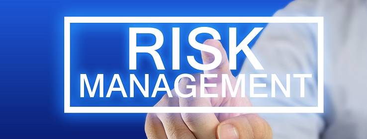 Conduct research on approaches to risk management processes, policies, and concerns in your current or anticipated professional arena to find an example of a risk management plan