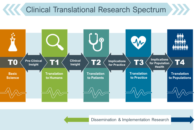 Translational research spectrum (T1-T4) with health equity focus