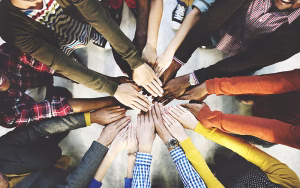 How Many Different Steps to Achieve Cultural Competence?