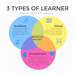 Students using different learning styles to improve academic success